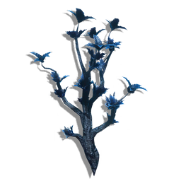 A hardy, slender-branched tree, native to subzero environs. The thickened venation in the foliage protects the plant against extreme cold.