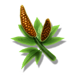 A pungent bud harvested from the NipNip plant, often used to produce Gek Nip.