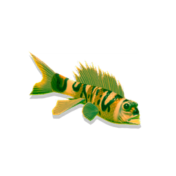 UI_FISH_TOX_RARE_M_DESC