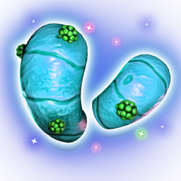 An edible plant, harvested from planetary flora.