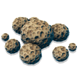 A piece of flotsam, wrenched from its years of drifting in the water when it became entangled in a fishing lure.