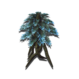 This tough conifer pumps its sap with anti-freezing enzymes, allowing it to survive unimaginably low temperatures.