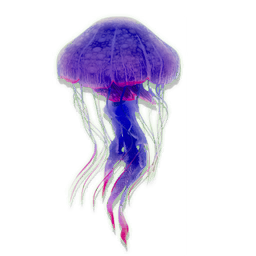 UI_FISH_ODD_COM_S_DESC