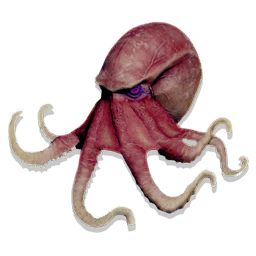 UI_FISH_ALL_RARE_M_DESC