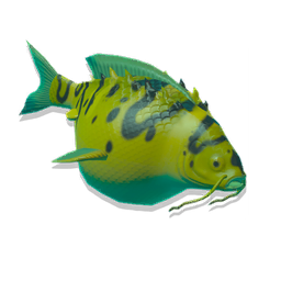 UI_FISH_TOX_RARE_M_DESC