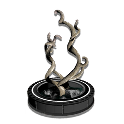 A delicate marine invertebrate, cultivated for potted growth. Its distinctive looping structure gives it an attractive whimsical appearance.